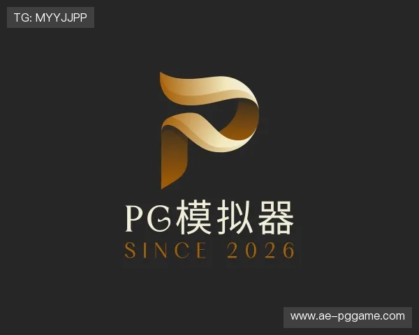 发现PG模拟器